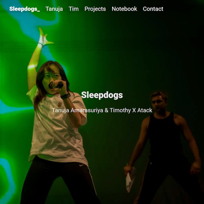 Sleepdogs_